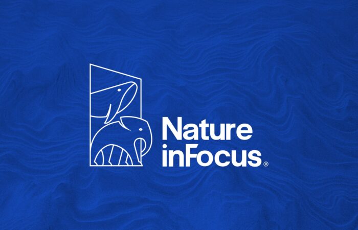 Nature InFocus -Website Design and Development - Narrative